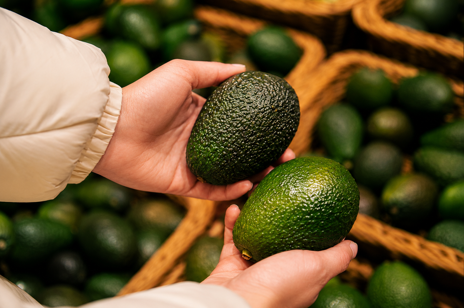 Avocat dans la main
